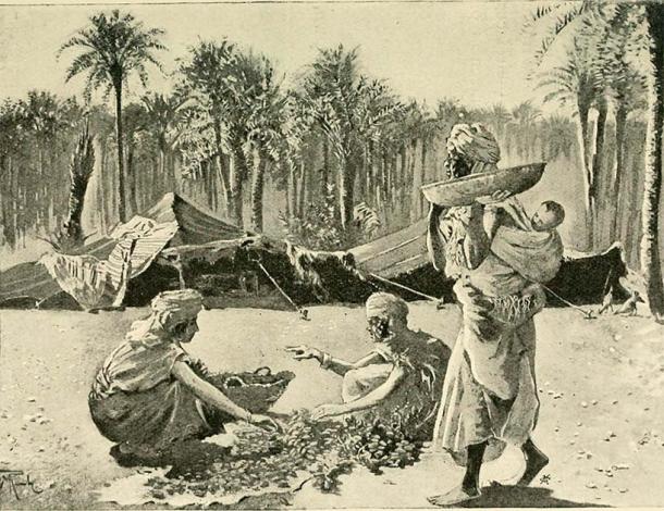 Sijilmasa has been remembered as a beautiful ancient oasis city. (Public domain)