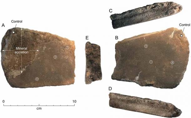 Los antiguos restos de polillas fueron descubiertos en la piedra de molino en la cueva de Cloggs. (A) Superficie A, con la acumulación que se formó en partes de la superficie después del uso. (B) Superficie B. (C) Margen A. (D) Margen B. (E) Extremo estrecho. Los números en los círculos son los números de muestra de relaves; las muestras de 