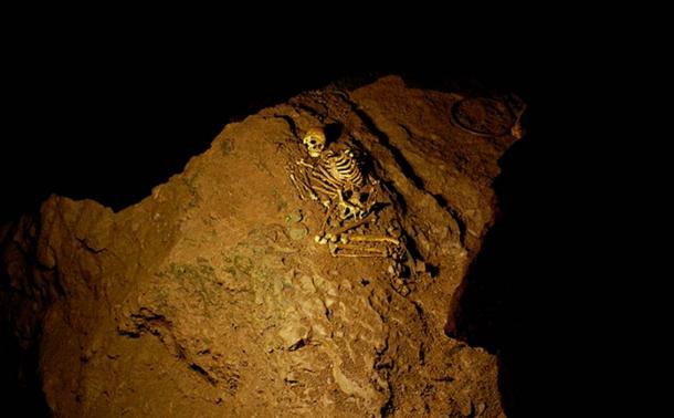 A replica of the skeleton is exhibited in the 