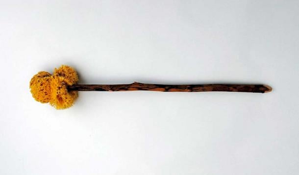A replica tersoriuм, or a sponge on a stick, was used to wipe after defecating in an ancient Roмan puƄlic toilet. (D. Herdeмerten / CC BY 3.0)