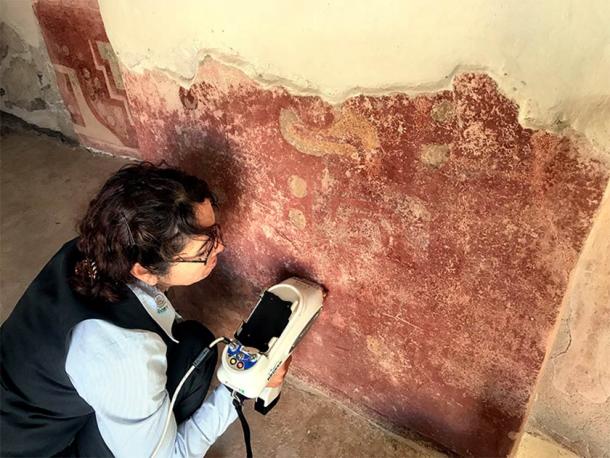 En esta imagen, un investigador analiza el estuco de un muro en el complejo Quetzalpapálotl, lo que llevó a la identificación del yeso, un material que tampoco se había identificado antes en Mesoamérica. (Denisse Argote Espino/INAH)