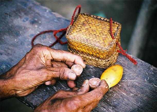 The researchers simulated the complex cultural creation of a plant-based medicinal product. (Image: beamue/ UZH)
