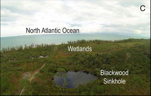 The researchers reached their conclusions from evidence gathered at the Blackwood Sinkhole, on the Abaco Islands in the Bahamas. (Fall, P. et. al. / PNAS)