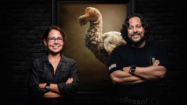 Beth Shapiro and Ben Lamm announced plans to resurrect the iconic dodo, or Raphus cucullatus, which was last spotted in the 17th century. (Colossal Biosciences)