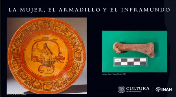 The archaeologists revealed that the presence of armadillo bones along with the Maya canoe could be explained by the Maya belief that the animal was related to the underworld. (INAH)