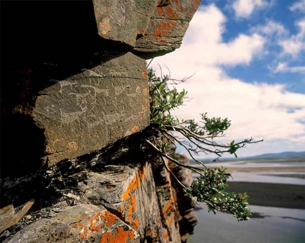 This Pegtymel petroglyph reveals a herd of deer on a remote cliffside location. (Institute of Archaeology Russian Academy of Sciences)