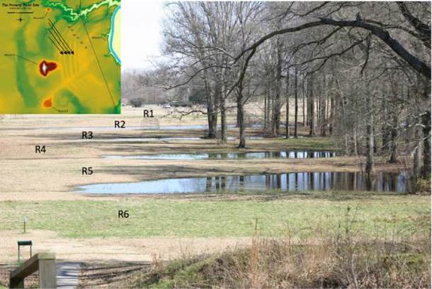 Each ridge is numbered. Researchers believe some of the dirt used to make the ridges came from the wet areas between them. (Washington University in St Louis)