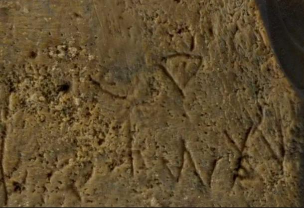 The right side of the comb (Dafna Gazit / Israel Antiquities Authority)