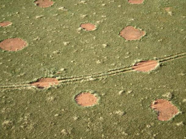 The enigmatic rings of Africa can be about 6.5 feet (2 meters) to almost 40 feet (12 meters) in size. The circles appear, and then disappear, leaving “ghost circles” behind. Credit: Mike and Ann Scott of the Namib Rand Nature Reserve