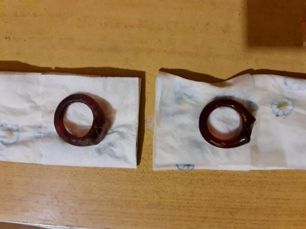 Two almost identical rings were symmetrically located in relation to the axis of the body. (Jerzy Sikora)