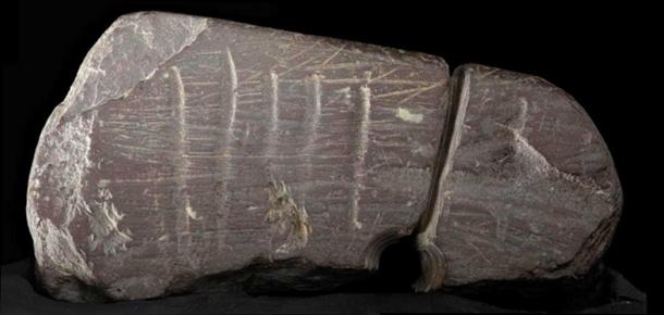 A ‘ritually killed’ stone gorget. This fragment was found along the banks of the Patuxent River in Maryland but the slate is from Central Ohio.