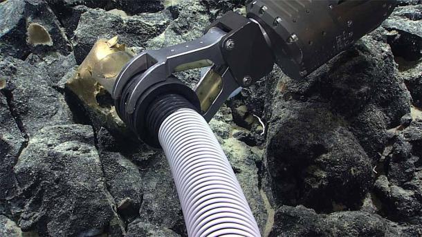 Unfamiliar Golden Orb: Alaskan Sea Floor Robotic