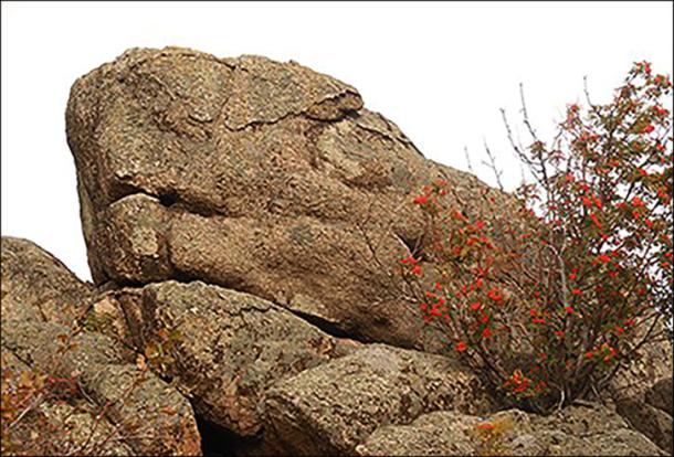 The Hermitage museum in St Petersburg has been informed of the discovery.