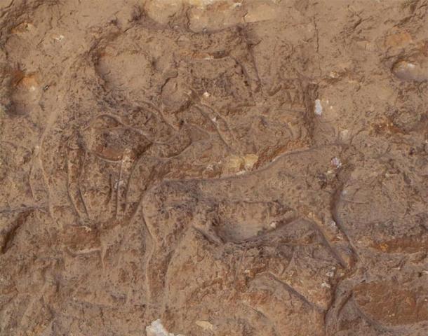 The rock carvings are of a type not seen before in the region. Photo courtesy Ministry of Antiquities