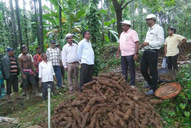 The rockets and the archaeologists who discovered them. (Karnataka Archaeology Department)