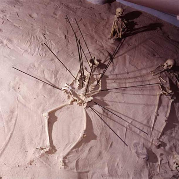Todas estas varillas apuntan a ubicaciones en este esqueleto del período Yayoi donde se sospechaba violencia según los detalles forenses en esos lugares. (Museo Nacional de Naturaleza y Ciencia, Tokio)