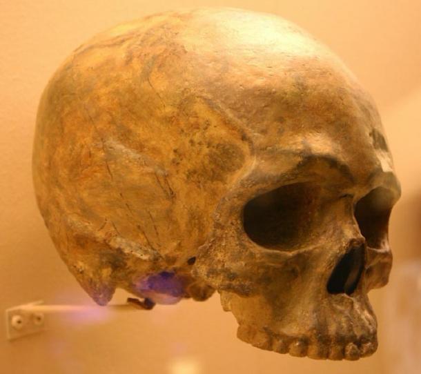 A rounded skull fossil was found in Ethiopia, one of the locations of human origins. (Ryan Somma / CC BY-SA 2.0)