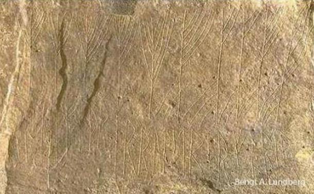 The runic inscription within the Stone Age burial chamber on Orkney.
