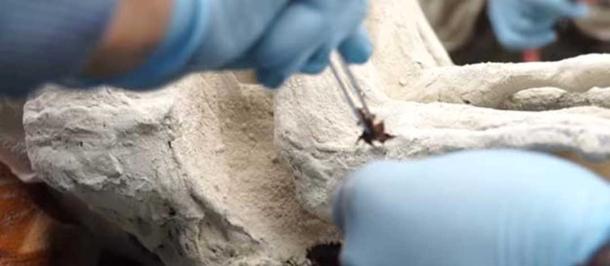 A sample of grey skin was removed from under the white preserving powder