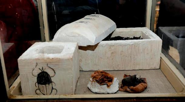 The two sarcophagi containing mummified scarab beetles.