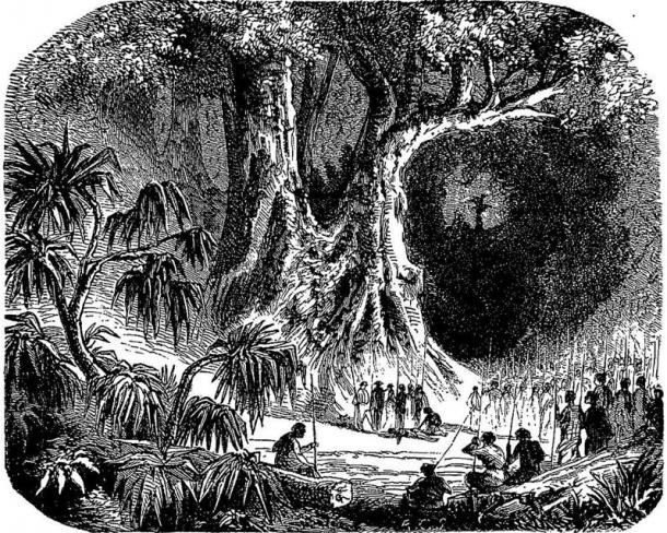  a similar process to the ‘sassywood ritual’, inhabitants of Madagascar gave the accused a poisonous tangena nut. In the 1820s,