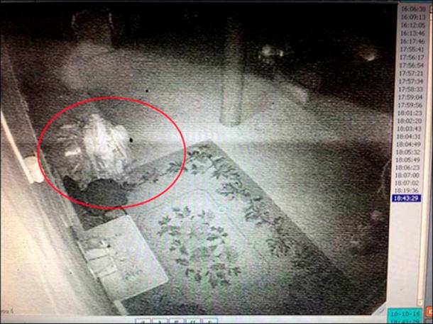 The second image, a day later, shows a similar figure close to or on a sofa.