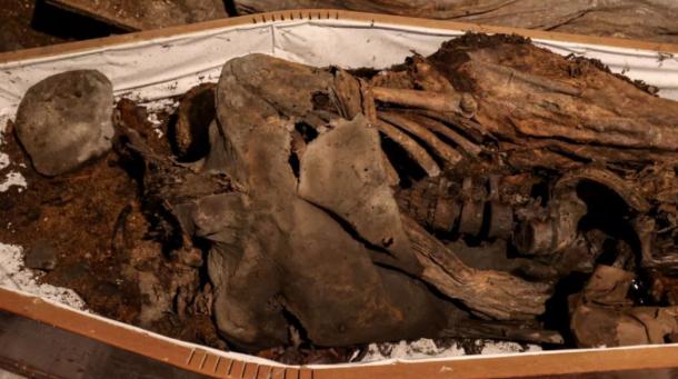 One of several medieval mummies damaged in the attack