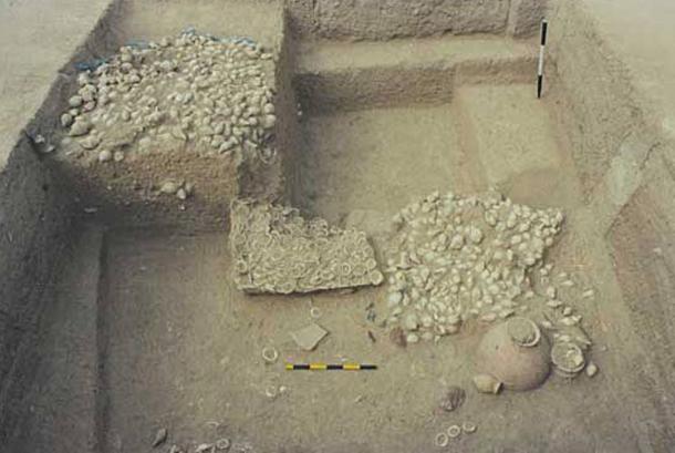 The shell workshop, with thousands of unfinished and finished products and raw shell at another of the Indus Valley archaeological sites in Gujarat - Gola Dhoro (Bagasra).