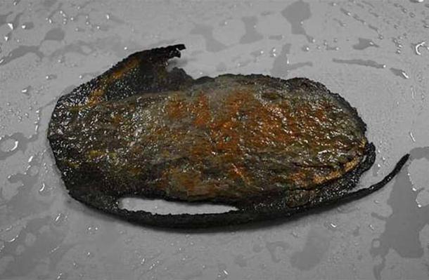 The shoe has been conserved by Dana Goodburn Brown, an accredited Archaeological Conservator at DGB Conservation. (Steve Tomlinson)