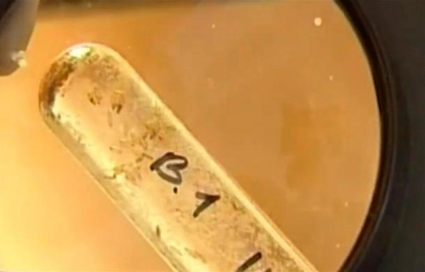 Russian scientists make progress on secret of eternal life