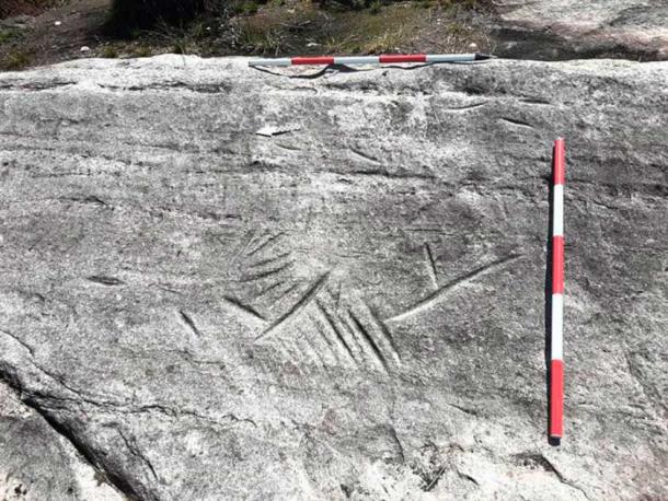 El sitio donde los arqueólogos descubrieron una piedra de afilar de arenisca gigante representa la mayor concentración de cabezas de hacha del Neolítico en Escocia. (Dr. Murray Cook)