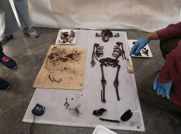 Los restos óseos del niño y otros hallazgos descubiertos en el entierro del Alcázar.