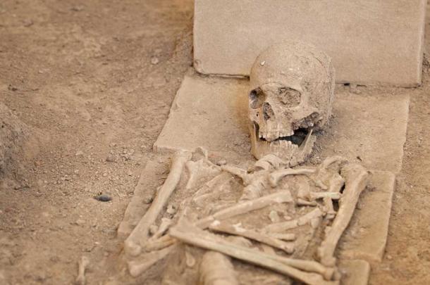 Unidentified skeletal remains. The current controversy surrounds a collective of archaeologists who are questioning the gender categorization of human remains. (Microgen / Adobe Stock)