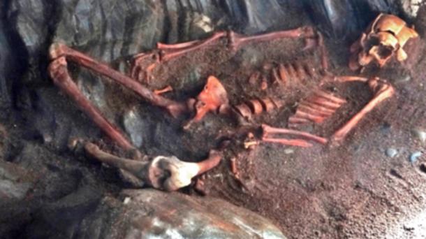 The skeleton was discovered during a cave excavation in the Black Isle.