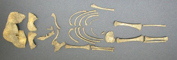 El esqueleto de un bebé encontrado en el lugar de entierro masivo del infanticidio romano en Hambleden. El análisis de los restos de 35 bebés reveló que lo más probable es que fueran asesinados al nacer. (Herencia inglesa)