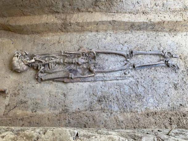 The skeleton of the Merovingian warrior who owned the headless horse, which he took with him into the afterlife. (Folke Damminger / Baden-Wuerttemberg State Office for Monument Preservation in the Stuttgart Government Presidium)