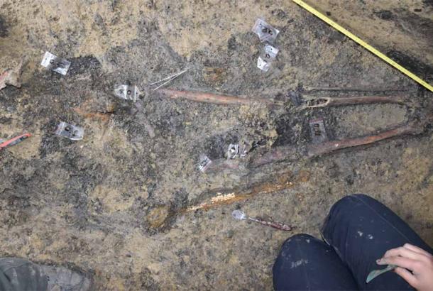 The entire skeleton of the warrior and the head and leg bones of his horse were found in the tomb. The man appears to be buried wearing a gold mask. (CNAIR / Vasile Pârvan Institute of Archaeology)