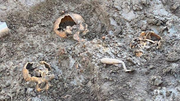 Remains found in the mass grave in Vianen, the Netherlands. (RTV Utrecht)