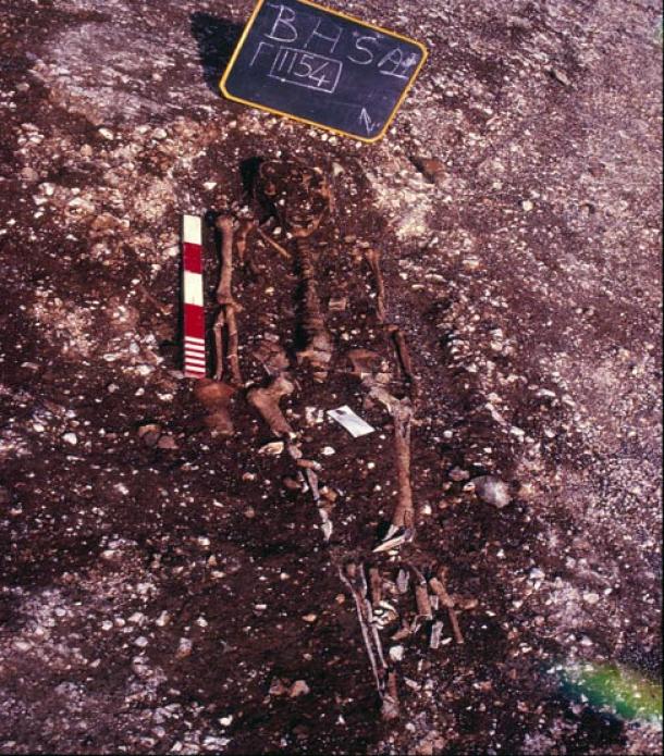 Some of the skeletons were disturbed by ploughing. 