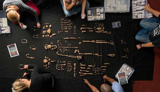 The skeletons of up to 15 different Homo naledi individuals are known from the Rising Star cave system. (© Robert Clark/National Geographic)