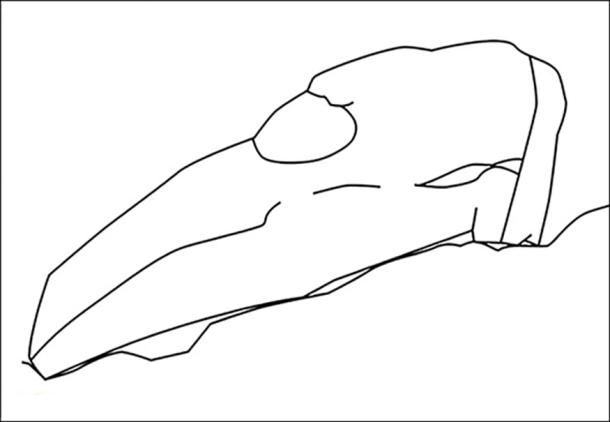 The Hermitage museum in St Petersburg has been informed of the discovery.