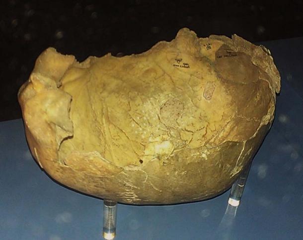A skull cap found in Gough’s Cave with evidence of cannibalism