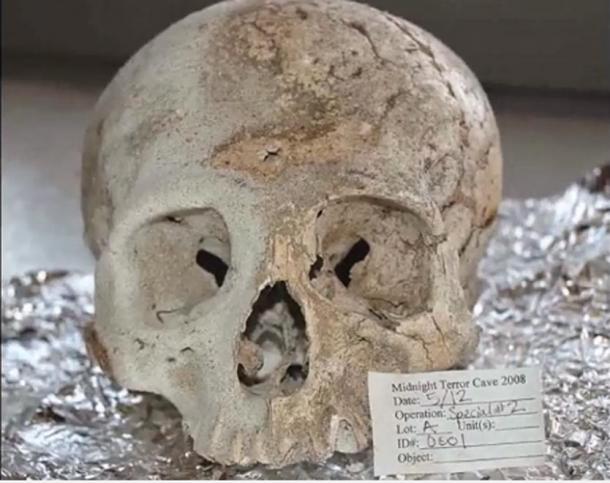 A skull found in the Midnight Terror Cave, Belize