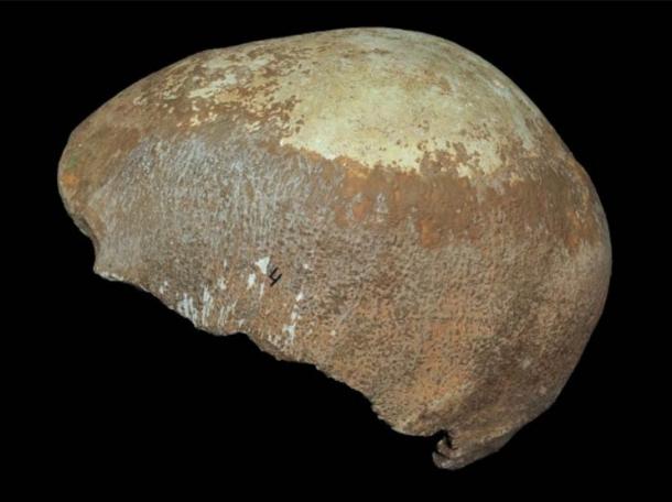 Newly-discovered skull from Manot Cave. 