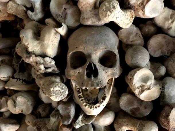 Detail of one of the skulls in the Wamba ossuary.