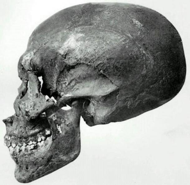 Profile view of a skull recovered from KV55. 