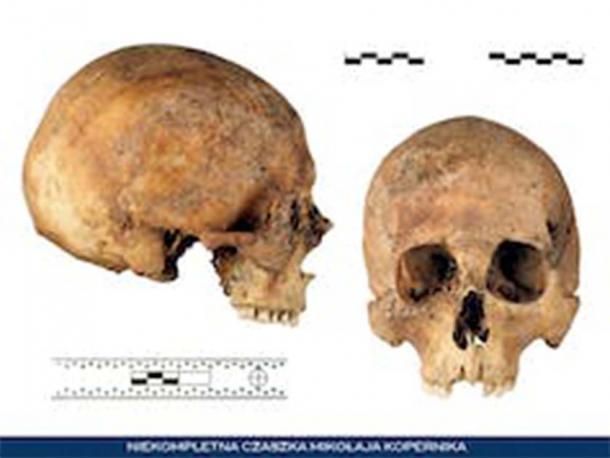 Un cráneo que se cree pertenece a Copérnico.  Dariusz Zajdil / Centralne Laboratorium Kryminalistyczne Policji