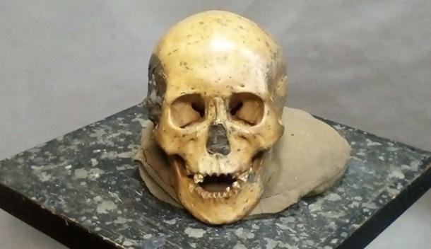 One of the skulls from Devil’s Gate Cave, Russia.