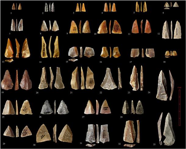 Una pequeña fracción de herramientas de piedra encontradas en el mismo refugio donde se encontró el diente Homo sapiens de un niño. . (ciencia avanzada)