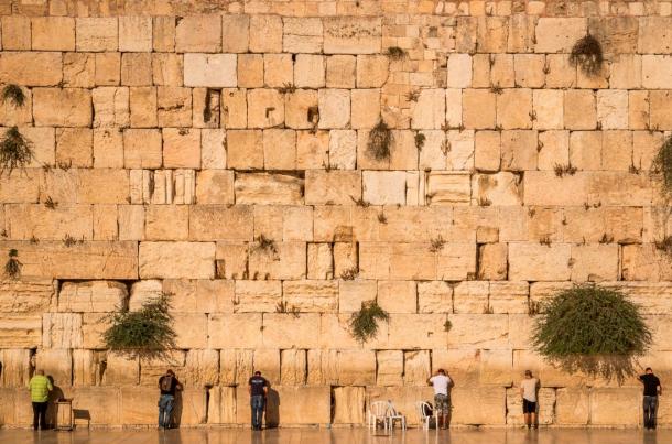 The snake was seeing slithering out of the Western Wall